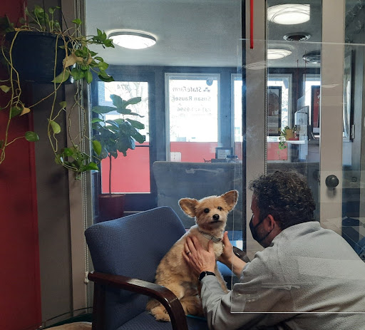 Insurance Agency «Susan Soffredine Rauser - State Farm Insurance Agent», reviews and photos