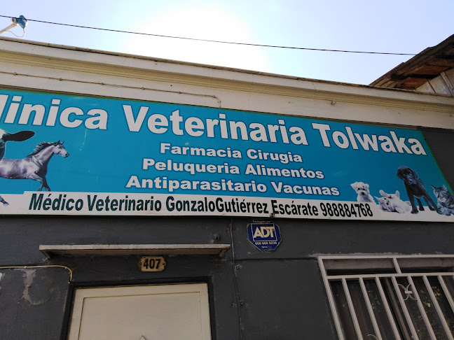 Clínica Veterinaria Tolwaka - Curicó