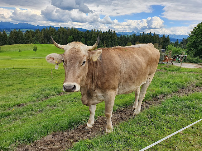 Golfplatz Scheidegg - Sportstätte