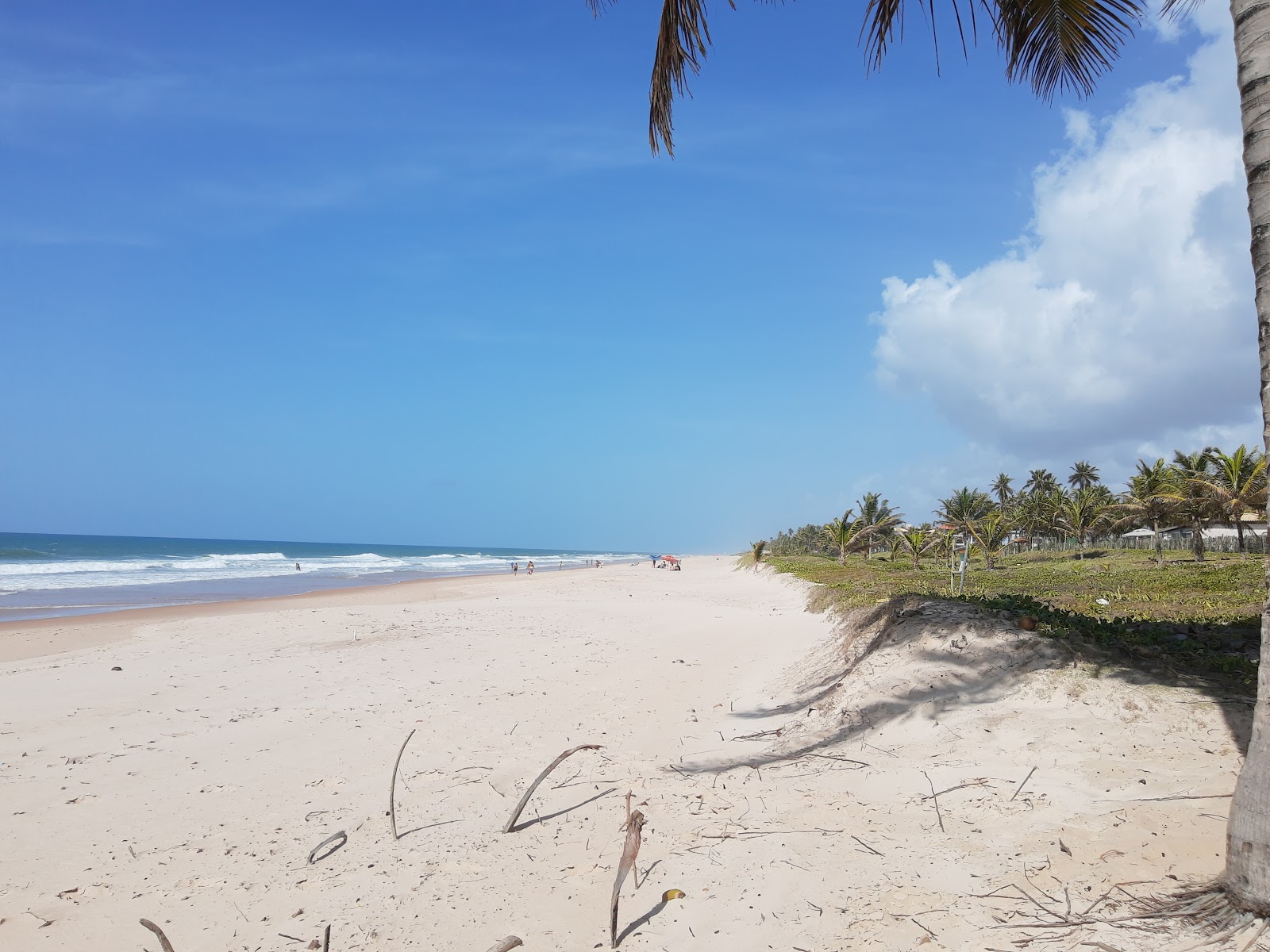 Praia do Caribinho photo #8