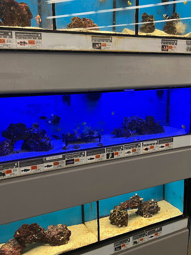 Pet Supply Store «Petco Animal Supplies», reviews and photos, 2230 Marlton Pike W #3, Cherry Hill, NJ 08002, USA