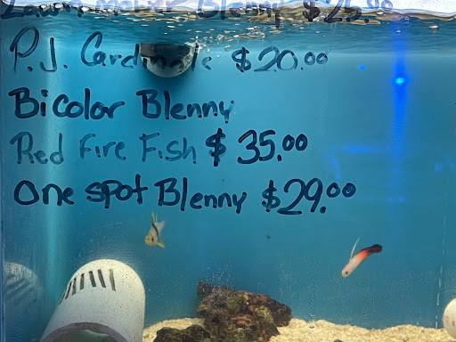Pet Store «Corals and Fins», reviews and photos, 5011 W Hillsborough Ave, Tampa, FL 33634, USA