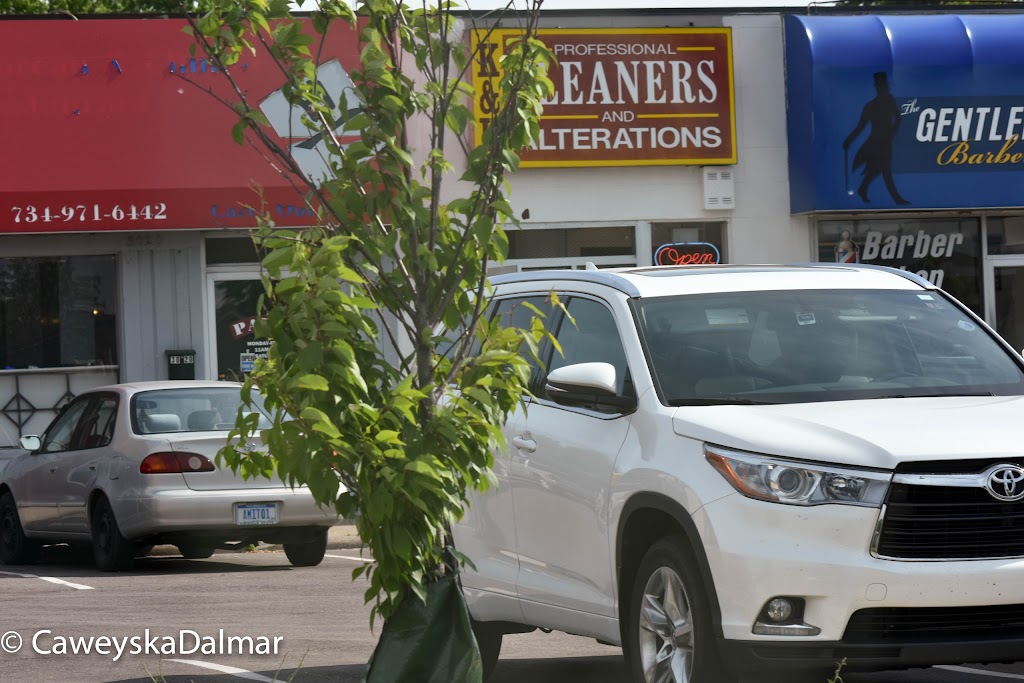 Panda Chinese & Korean Food Ann Arbor, MI 48108 Menu, Reviews