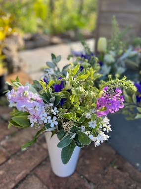 Sarah'S Gardens