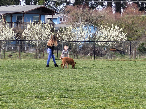 Keizer Rapids Dog Park