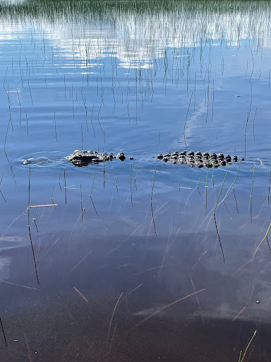 Bus Tour Agency «Miami Double Decker», reviews and photos, 303 Lincoln Rd, Miami Beach, FL 33139, USA