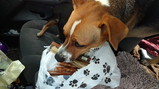 Pet Store «Bark Avenue Healthy Pets», reviews and photos, 426 21st St, Vero Beach, FL 32960, USA