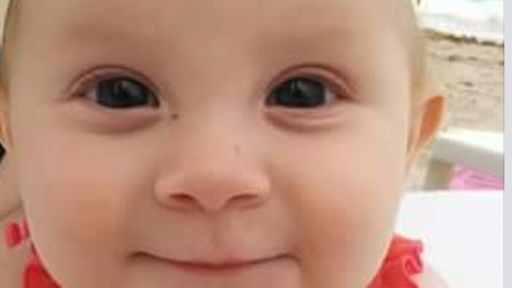 Day Care Center «School Bell Early Childhood Education Center», reviews and photos, 7172 Grand River Ave, Brighton, MI 48114, USA