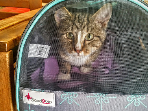 7627 Richmond Hwy, Alexandria, VA 22306, USA