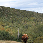 Photo n° 1 de l'avis de Clara. fait le 27/08/2020 à 16:00 pour Ferme auberge de la Glashütte à Rimbach-prés-Guebwiller