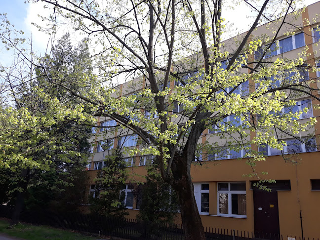 Kecskeméti Táncsics Mihály Középiskolai Kollégium - Egyetem