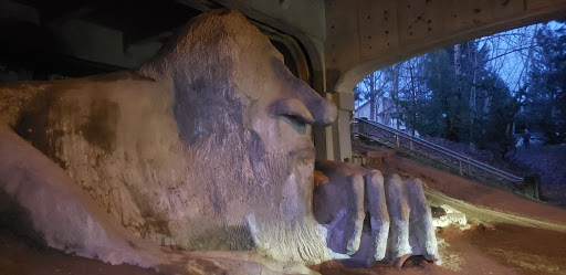 Tourist Attraction «Fremont Troll», reviews and photos, Troll Ave N, Seattle, WA 98103, USA