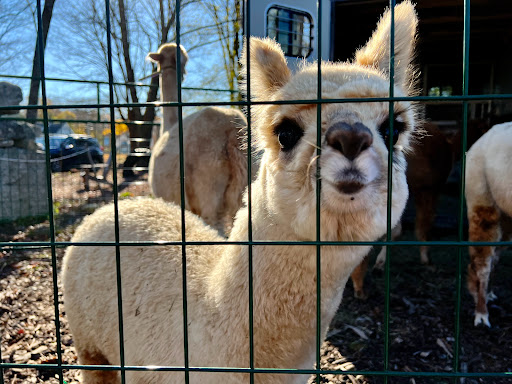 Farm «Langwater Farm», reviews and photos, 209 Washington St, North Easton, MA 02356, USA