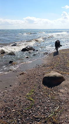 Vidéos Ferienwohnung Ferienhaus Rothensande 24369 Waabs