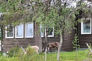 Hotel Laanihovi image