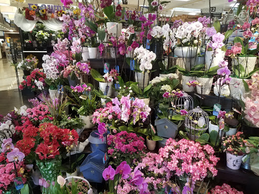 Shopping Mall «Marina Pacifica Mall», reviews and photos, 6272 E Pacific Coast Hwy, Long Beach, CA 90803, USA