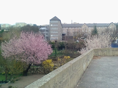 Ensemble Scolaire Notre Dame Saint Privat | Lycée Notre Dame à Mende