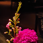 Photo n°4 de l'avis de Alice.e fait le 23/10/2022 à 07:58 sur le  Ya | The Mandarin Room 黄鹤楼 à Munich