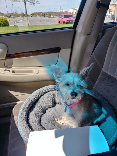 Pet Supply Store «PetSmart», reviews and photos, 3081 S 5600 W, Salt Lake City, UT 84120, USA