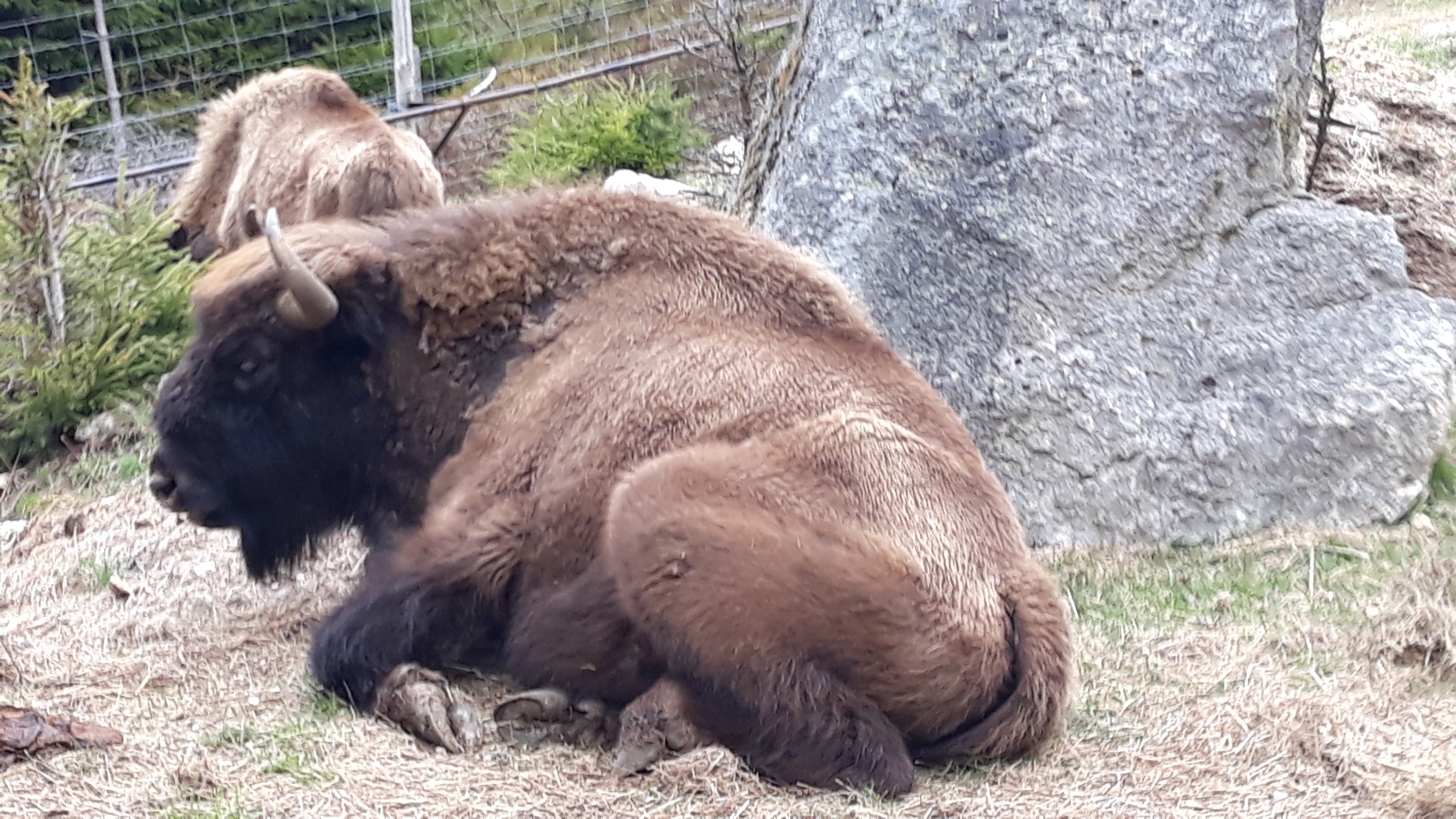 Photo n° 1 de l'avis de Hartas. fait le 03/05/2019 à 15:16