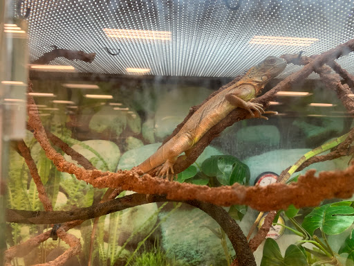 Pet Supply Store «Petco Animal Supplies», reviews and photos, 1341 W Covell Blvd b, Davis, CA 95616, USA