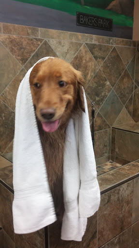 Pet Supply Store «Pet Valu», reviews and photos, 1305 West Seventh Street #28, Frederick, MD 21702, USA