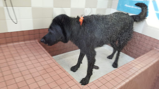 Pet Supply Store «Pet Food Express», reviews and photos, 320 S Lake Ave, Pasadena, CA 91101, USA