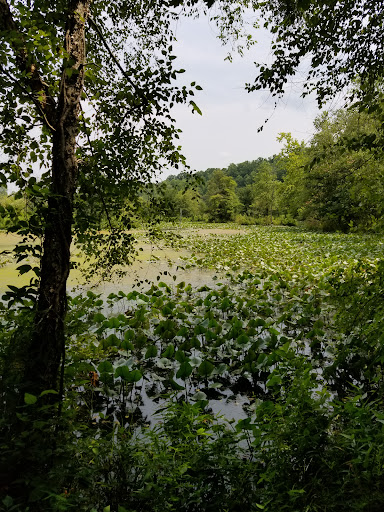 Nature Preserve «Governor Bridge Natural Area», reviews and photos, 7600 Governor Bridge Rd, Bowie, MD 20716, USA