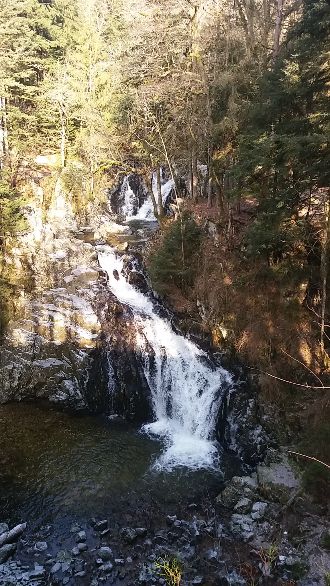 Photo n° 2 de l'avis de Yves.R fait le 25/01/2019 à 20:07