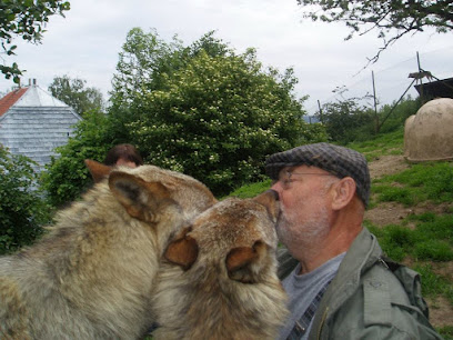 The Wolf Conservation Association