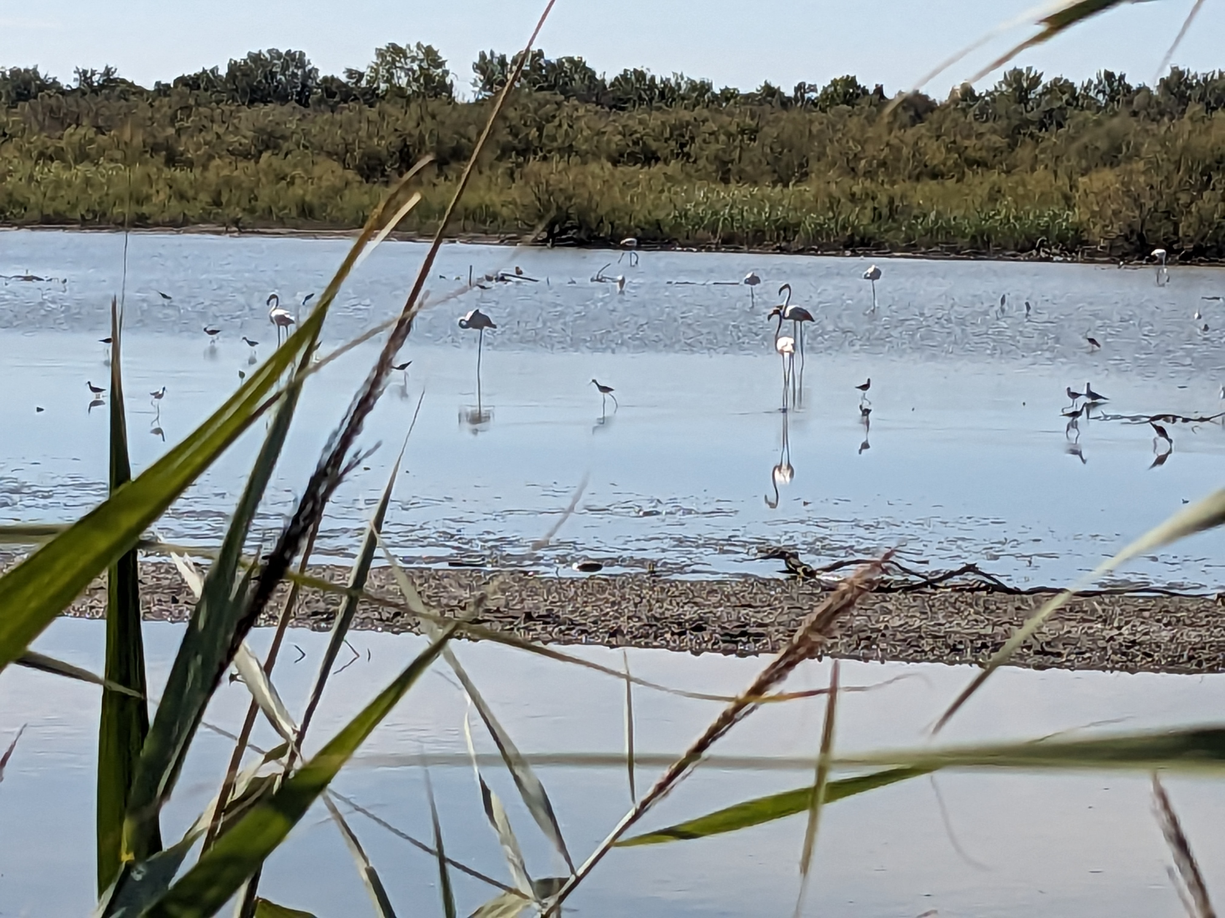 Photo n° 4 de l'avis de Thierry.o fait le 09/08/2023 à 12:06