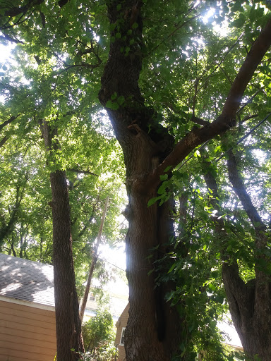 Hardware Store «Westlake Ace Hardware 055», reviews and photos, 3110 E Douglas Ave, Wichita, KS 67214, USA