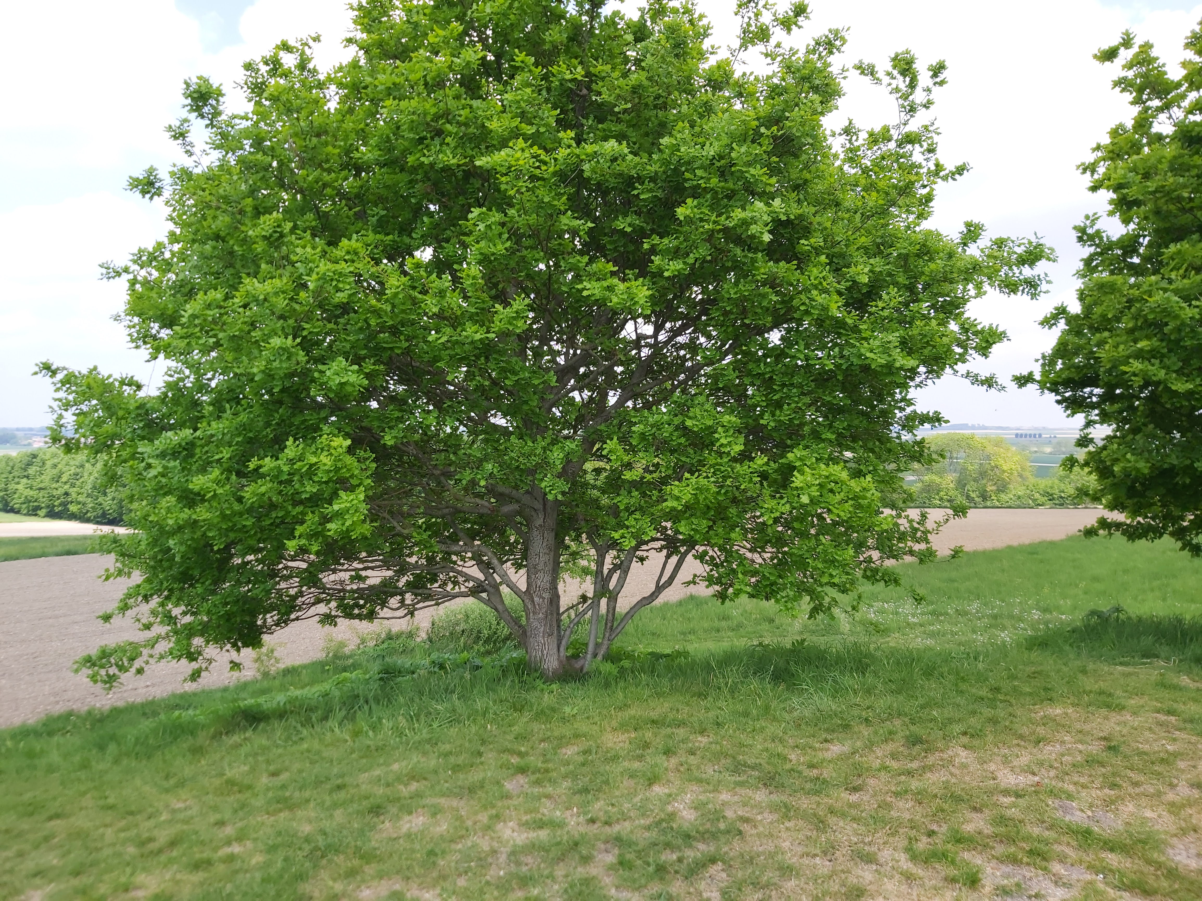 Photo n° 7 de l'avis de Gregory.e fait le 19/05/2022 à 15:31