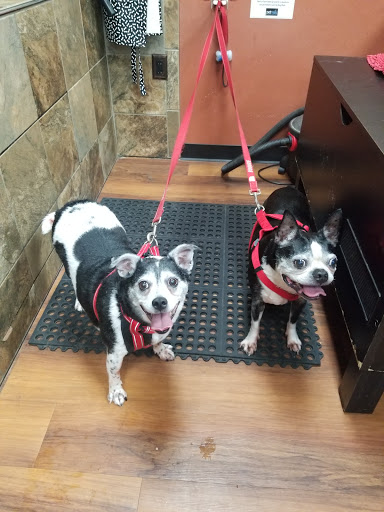 Pet Supply Store «Pet Valu», reviews and photos, 1305 West Seventh Street #28, Frederick, MD 21702, USA