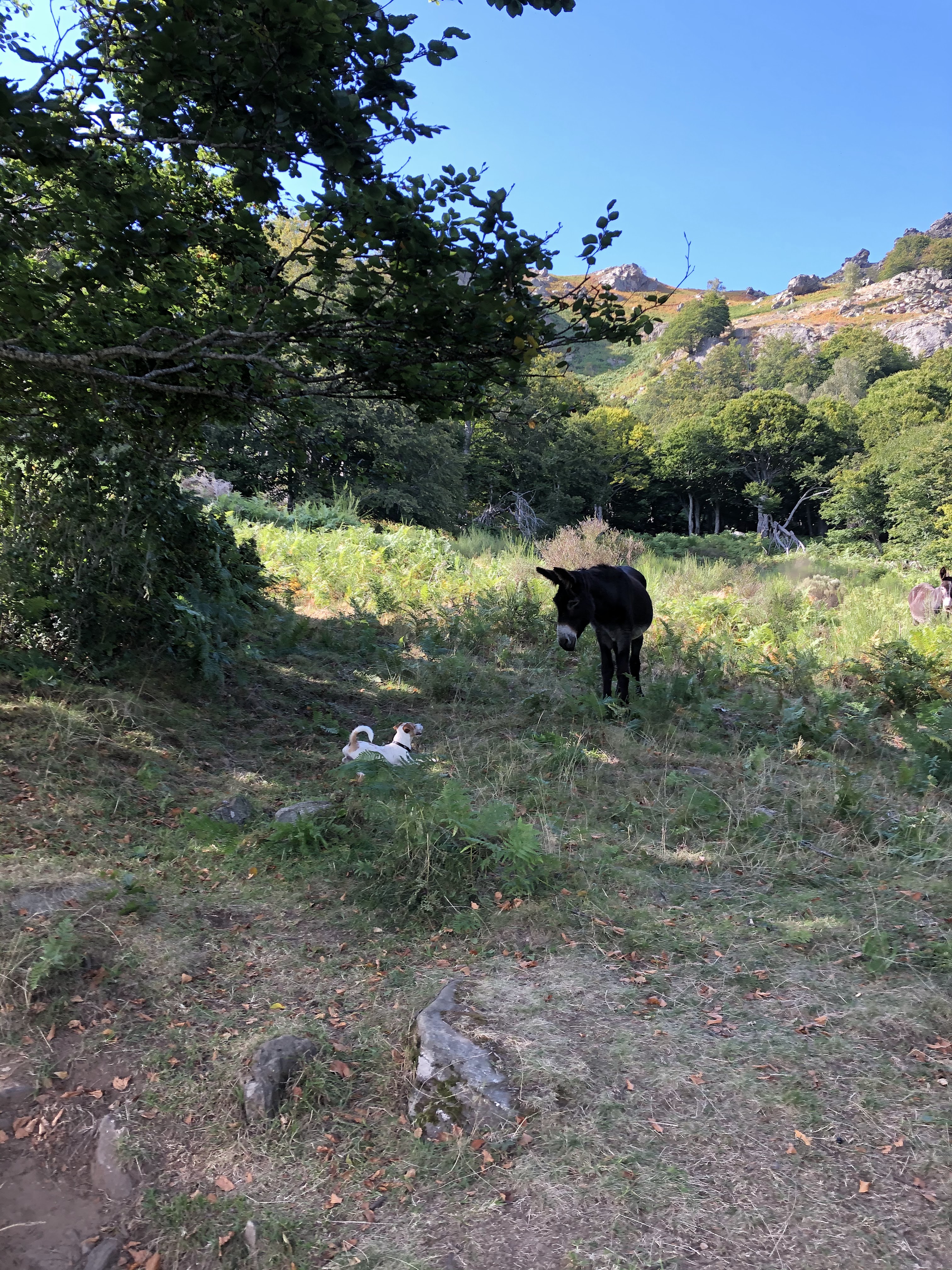 Photo n° 1 de l'avis de Johnny.a fait le 08/09/2020 à 15:07