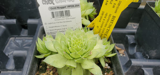 Garden Center «Distinctive Gardens», reviews and photos, 1531 Telegraph Rd, West Chester, PA 19380, USA