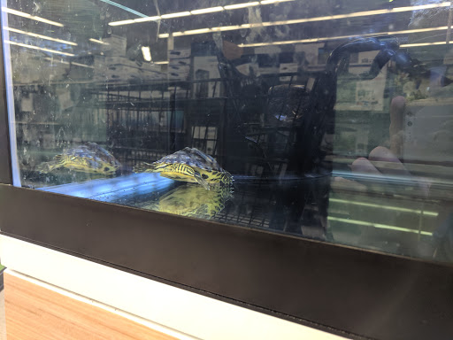 Pet Supply Store «Petco Animal Supplies», reviews and photos, 1080 S Main St, Kernersville, NC 27284, USA