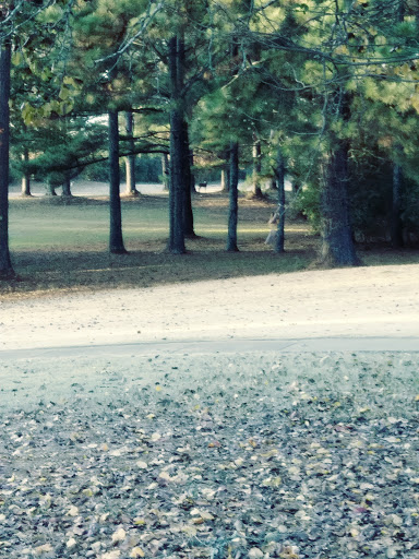 Golf Driving Range «Hickory Hill Golf Course», reviews and photos, 209 Biles Rd, Jackson, GA 30233, USA
