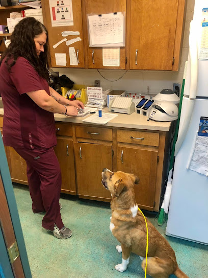 Judd Veterinary Clinic