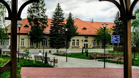 Școala Teodor Chindea