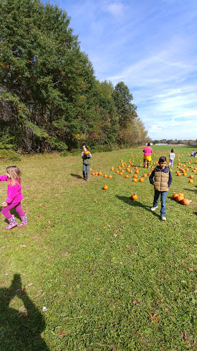 Historical Place «Connecticut Trolley Museum», reviews and photos, 58 N Rd, East Windsor, CT 06088, USA
