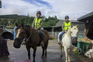 Highland Horse Fun image