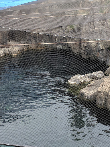 Aquarium «New York Aquarium», reviews and photos, 602 Surf Ave, Brooklyn, NY 11224, USA