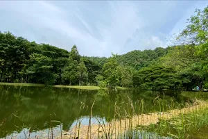 Sirindhorn Botanical Garden image