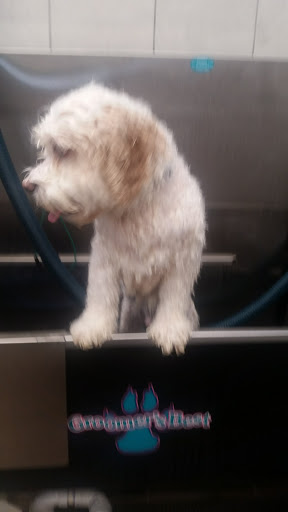 Pet Supply Store «Pet Supplies Plus», reviews and photos, 1137 Annapolis Rd, Odenton, MD 21113, USA