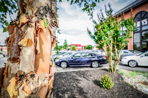 Used Car Dealer «Auto Member», reviews and photos, 911 Edwards Ferry Rd NE, Leesburg, VA 20176, USA