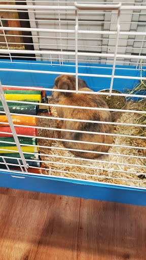 Pet Supply Store «Friend Lee Pets», reviews and photos, 40 Concord Rd, Lee, NH 03861, USA
