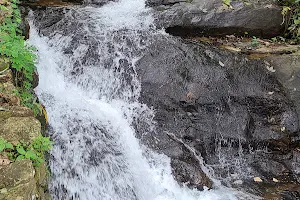 Erappunkal Water Falls image