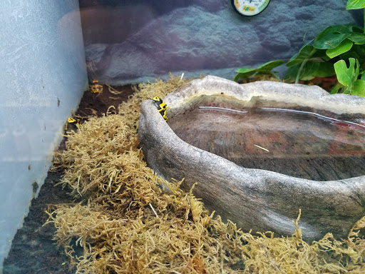 Pet Supply Store «Petco Animal Supplies», reviews and photos, 390 East 525 North, Harrisville, UT 84404, USA