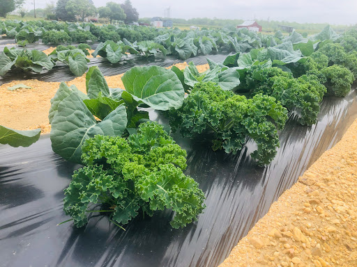 Produce Market «Miller Farms», reviews and photos, 10140 Piscataway Rd, Clinton, MD 20735, USA